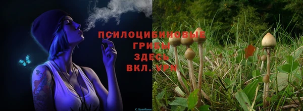 Альфа ПВП Вязники
